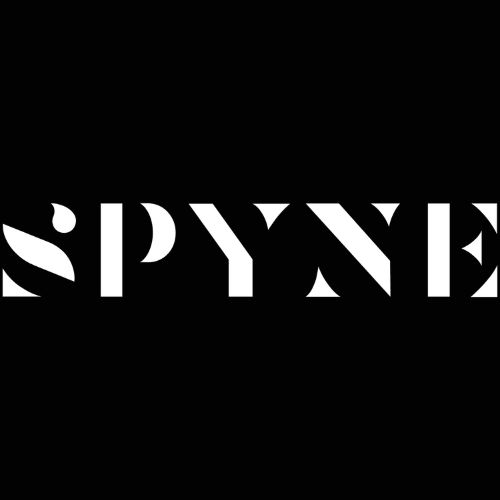 spynechiropracti